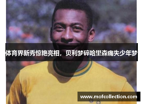 体育界新秀惊艳亮相，贝利梦碎哈里森痛失少年梦