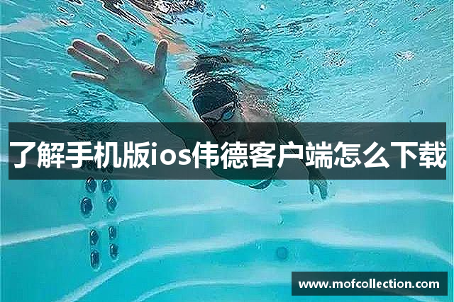 了解手机版ios伟德客户端怎么下载